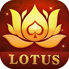 teen patti gogo apk download
